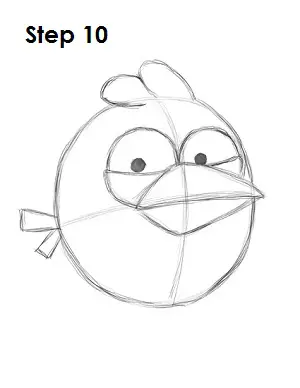 Draw Blue Angry Bird Step 10