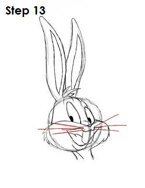 Draw Bugs Bunny Step 13