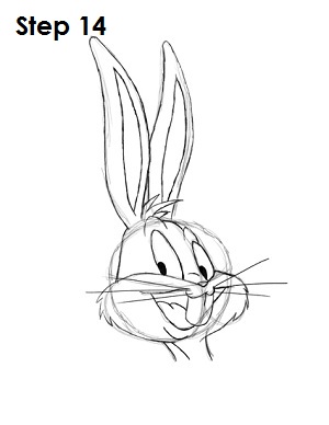 Draw Bugs Bunny Step 14