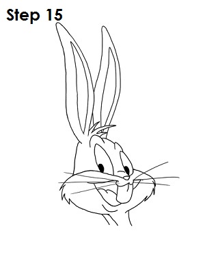 Draw Bugs Bunny Step 15