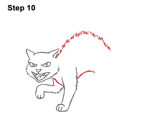 How to Draw Angry Mean Halloween Cartoon Black Cat arched back 10