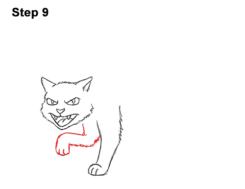 How to draw Angry Cat Face 