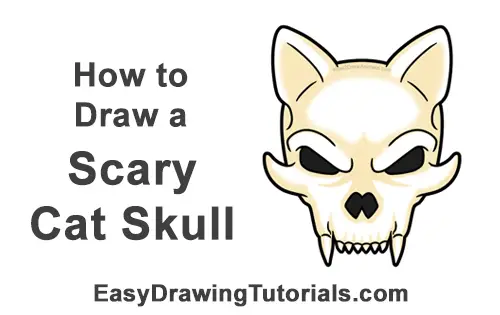 How to Draw Scary Cartoon Cat Skull Halloween