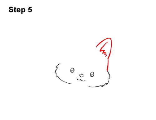 How to Draw a Cat for Halloween || VIDEO & Step-by-Step Pictures
