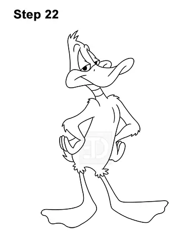 How to Draw Daffy Duck Full Body Looney Tunes 22