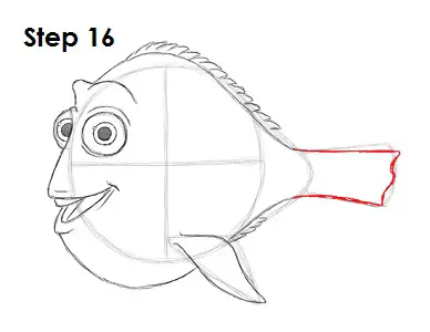 Draw Dory Nemo 16
