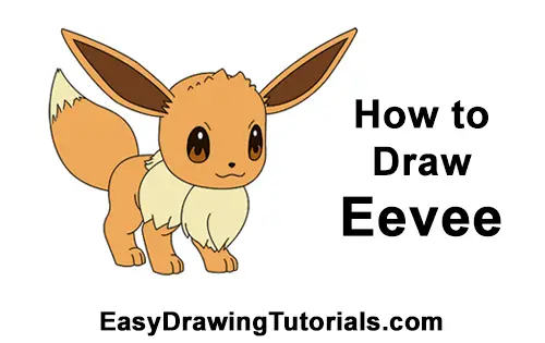 Eevee Dimensions & Drawings