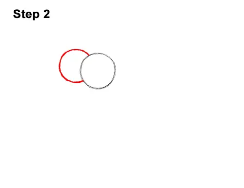 How to Draw Gary the Snail Spongebob Squarepants 2