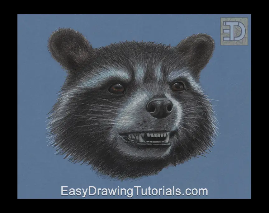 Rocket Raccoon Special Portrait Drawing