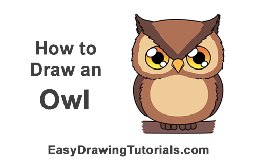 easy cute owl drawings