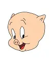 How to Draw Porky Pig