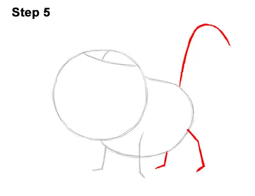 How To Draw Timon And Pumbaa Step by Step Drawing Guide by Dawn   DragoArt