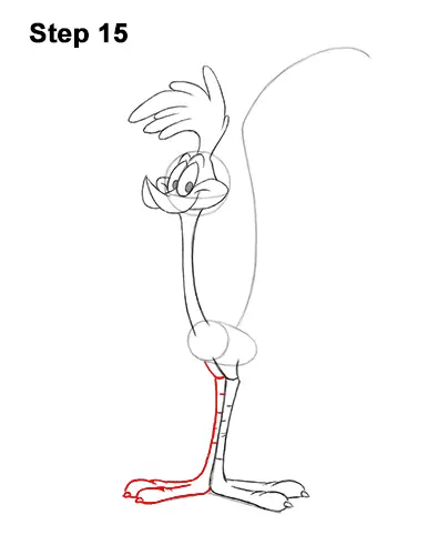 How to Draw Road Runner Looney Tunes 15