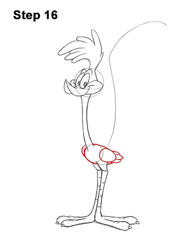 How to Draw Road Runner Looney Tunes 16