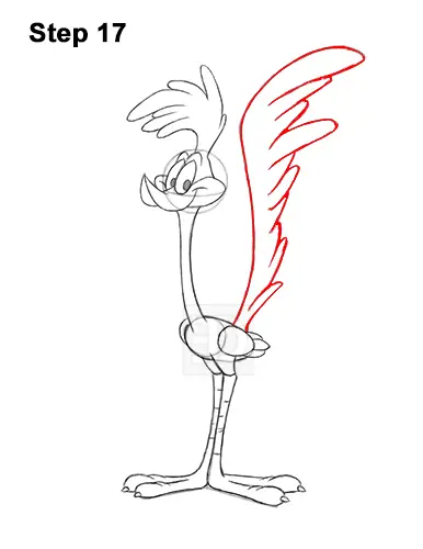 How to Draw Road Runner Looney Tunes 17
