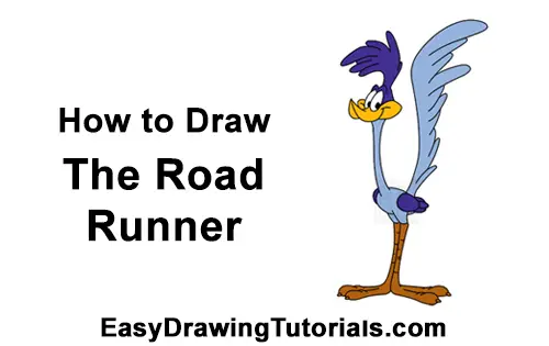How to Draw the Road Runner (Looney Tunes) VIDEO Step-by-Step Pictures