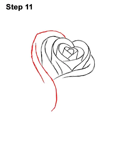 How to Draw Red Rose 11