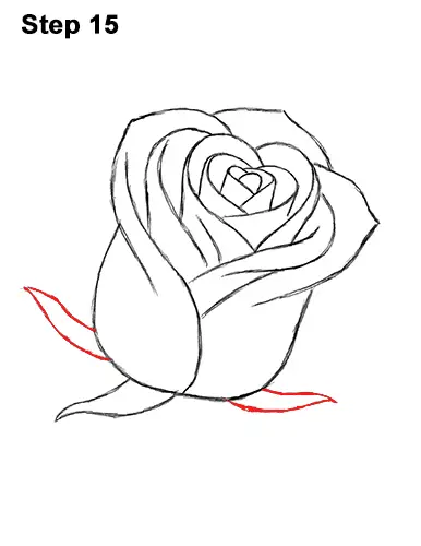 How to Draw Red Rose 15
