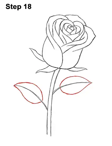 How To Draw A Rose A rose has been said to be: how to draw a rose