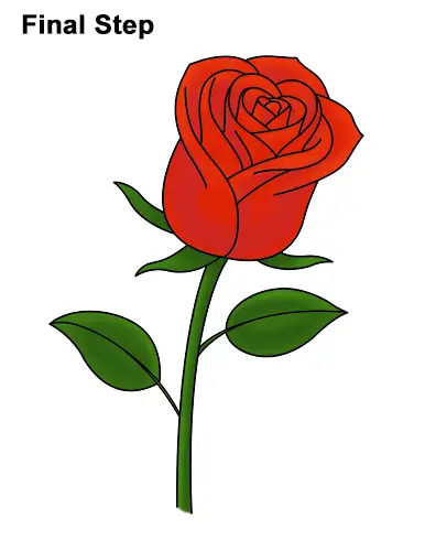 How to Draw Red Rose printable step by step drawing sheet   DrawingTutorials101com
