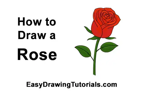 Featured image of post How To Draw A Rose Easy Step By Step - Drawing a rose just got easier thanks to these thorough instructions from a professional illustrator.