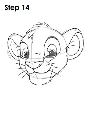 Draw Simba Step 14