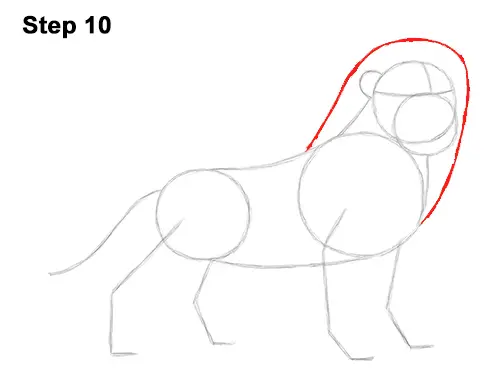 Draw Adult Grown Up Simba Lion King Disney 10