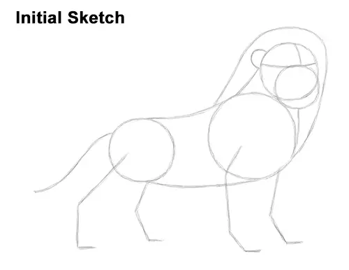 Draw Adult Grown Up Simba Lion King Disney Initial Sketch