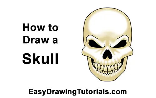easy drawings of skulls and hearts