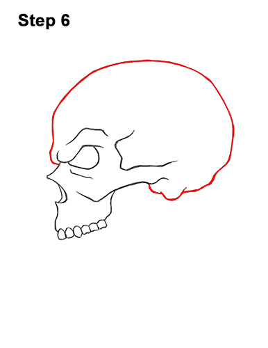 easy skull drawings step by step