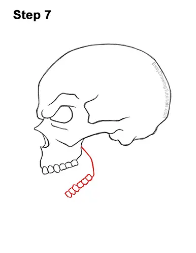 How to Draw a Scary Creepy Evil Skull Side View Halloween 7