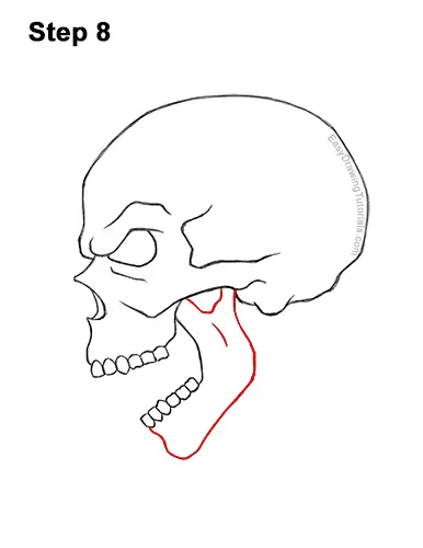 How to Draw a Scary Creepy Evil Skull Side View Halloween 8