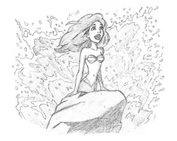 Ariel Little Mermaid Special Drawing