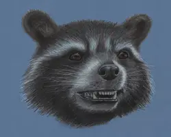 Rocket Raccoon Guardians of the Galaxy Special Portrait Drawing