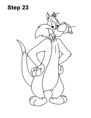 How to Draw Sylvester Cat Looney Tunes Full Body 23