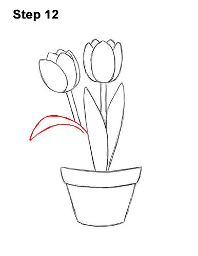 How to Draw Cartoon Pink Flowers Tulips 12