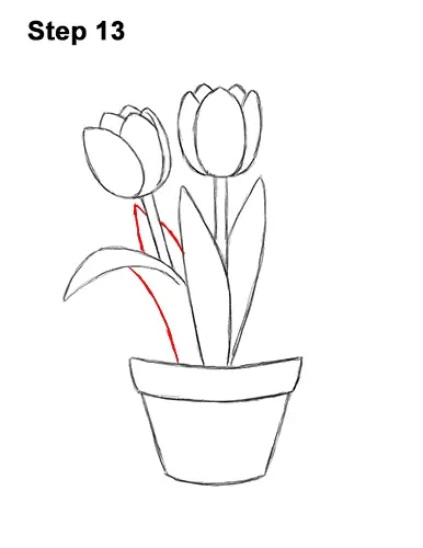 How to Draw Cartoon Pink Flowers Tulips 13