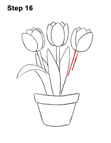 How to Draw Cartoon Pink Flowers Tulips 16