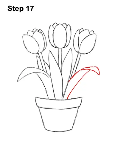 How to Draw Cartoon Pink Flowers Tulips 17