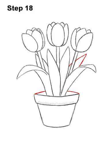 How to Draw Cartoon Pink Flowers Tulips 18
