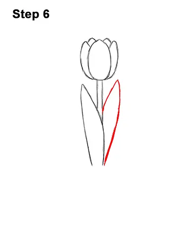 How to Draw Cartoon Pink Flowers Tulips 6