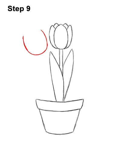 How to Draw Cartoon Pink Flowers Tulips 9