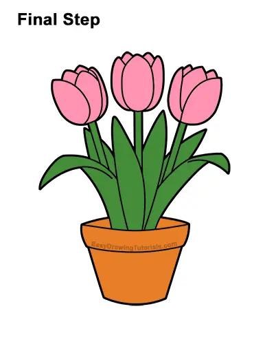 How to Draw Cartoon Pink Flowers Tulips
