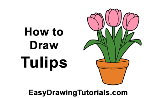 How to Draw Cartoon Pink Flowers Tulips