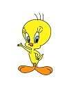 How to Draw Tweety Bird