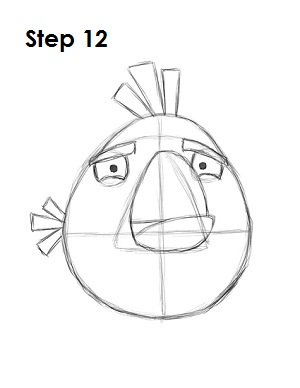 Draw White Angry Bird Step 12